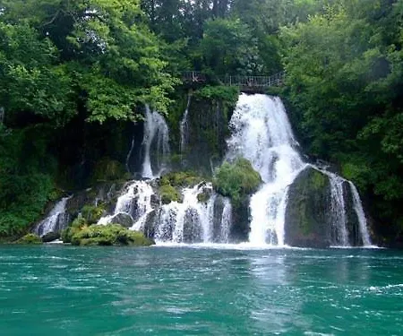 Niki I Lazo باغينا باستا